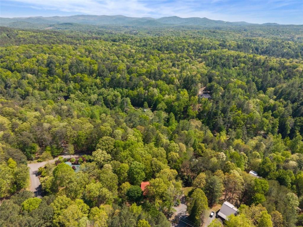 80 Stegall Mill Ridge Ellijay, GA 30536 - Photo 47 of 48 Gallery Image 47