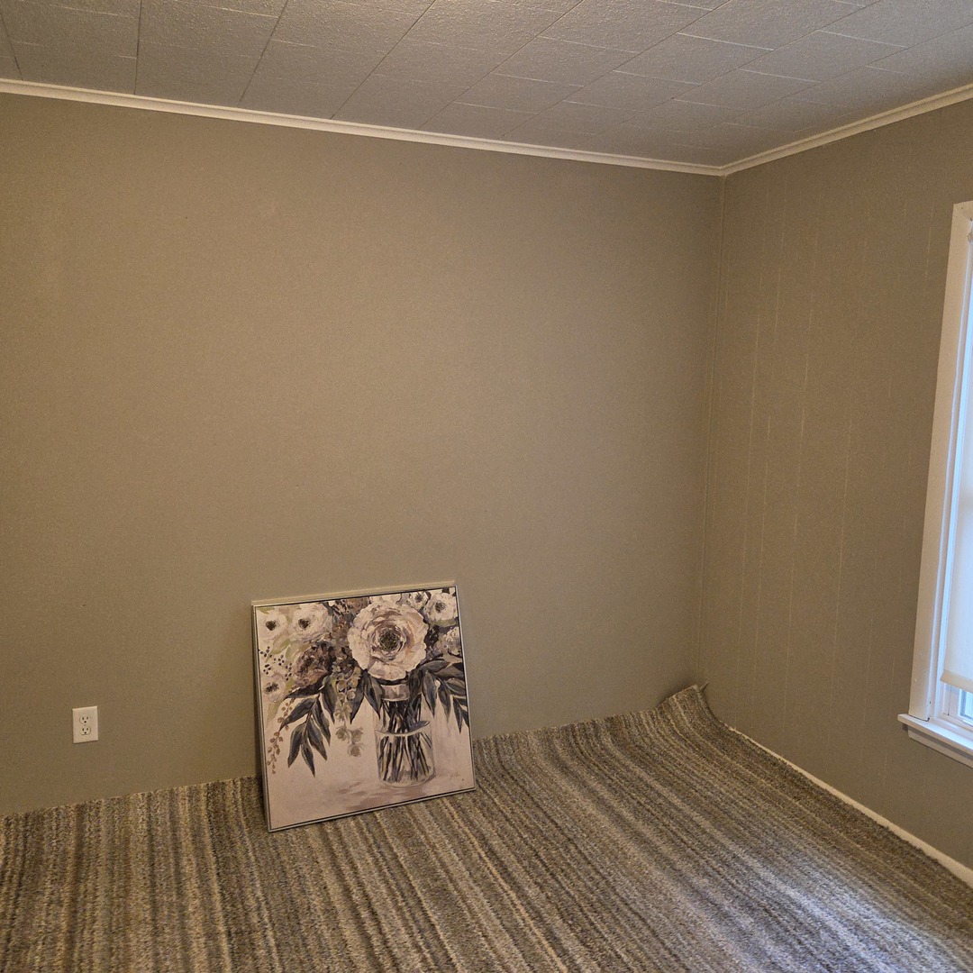 903 South Walnut Street Sesser, IL 62884 - Photo 22 of 24
