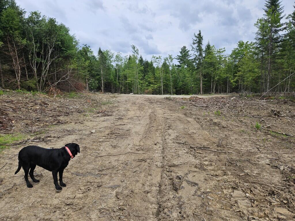 22-03 Rowell Mountain Road Solon, ME 04979 - Photo 15 of 55 20260721_162321