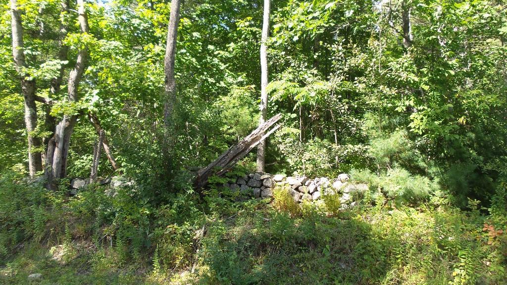 Tbd Stone Road West Newfield, ME 04095 - Photo 13 of 27 Photo
