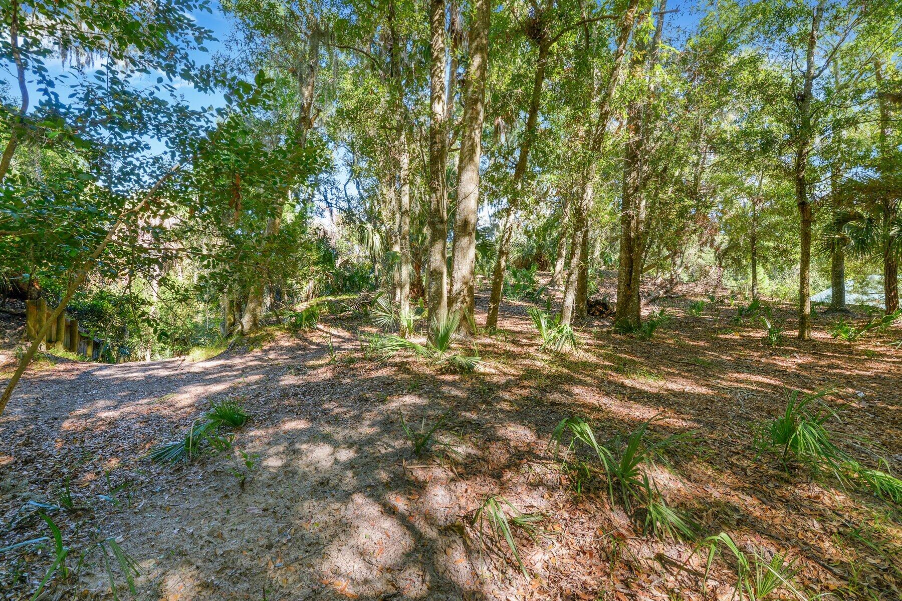 535 Oristo Ridge Edisto Island, SC 29438 - Photo 1 of 13 _ROB5740.jpg-SMALL