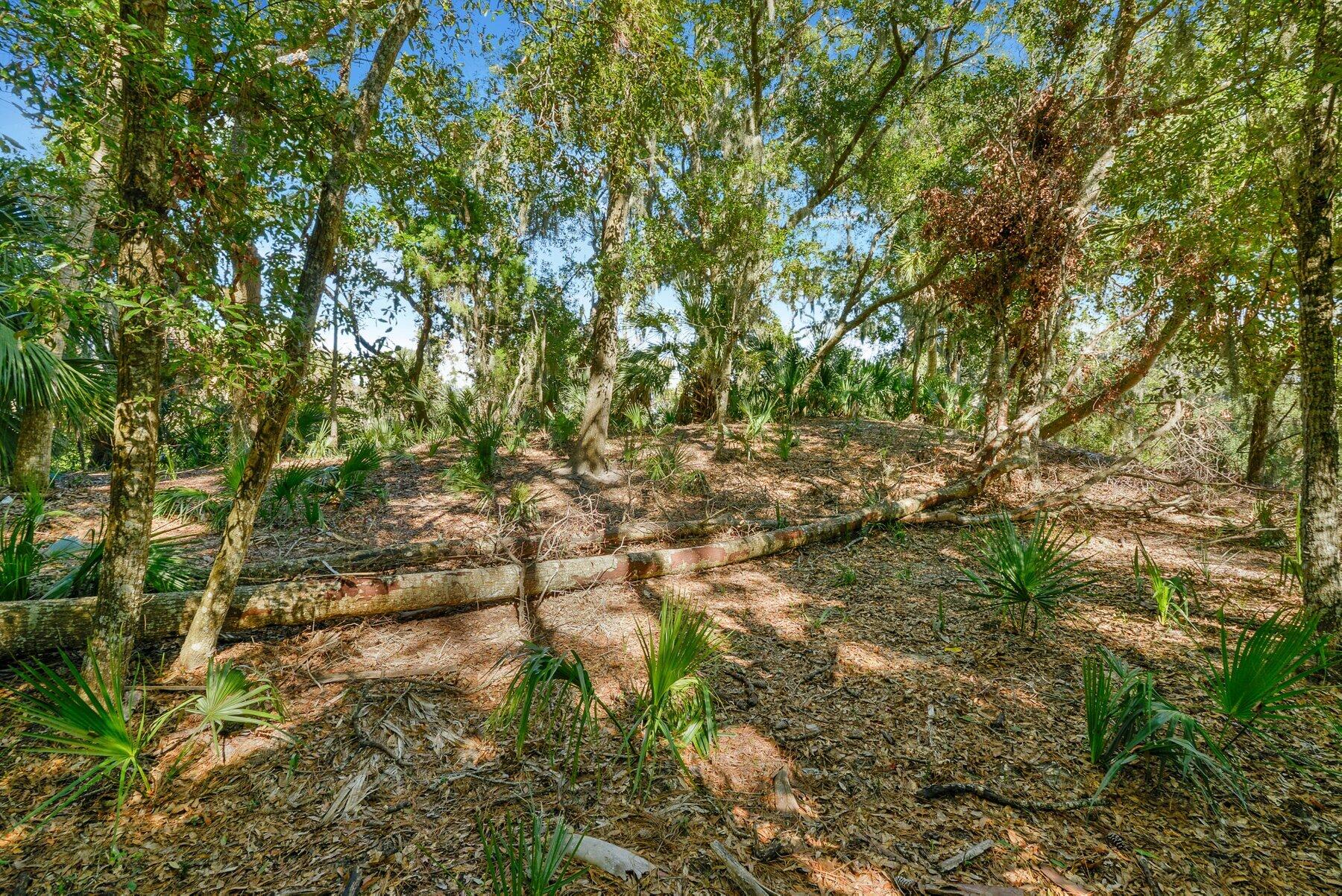 535 Oristo Ridge Edisto Island, SC 29438 - Photo 2 of 13 _ROB5696.jpg-SMALL