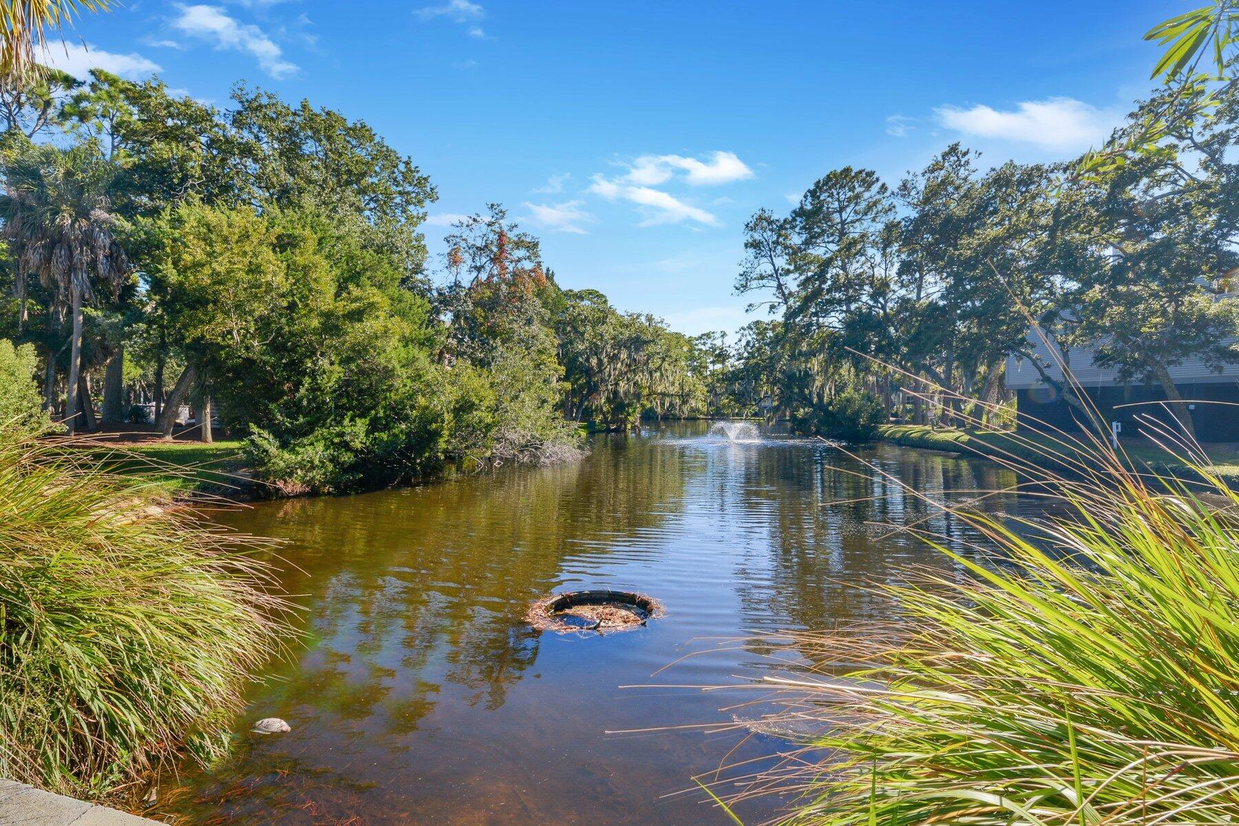 535 Oristo Ridge Edisto Island, SC 29438 - Photo 13 of 13 _ROB5620.jpg-SMALL