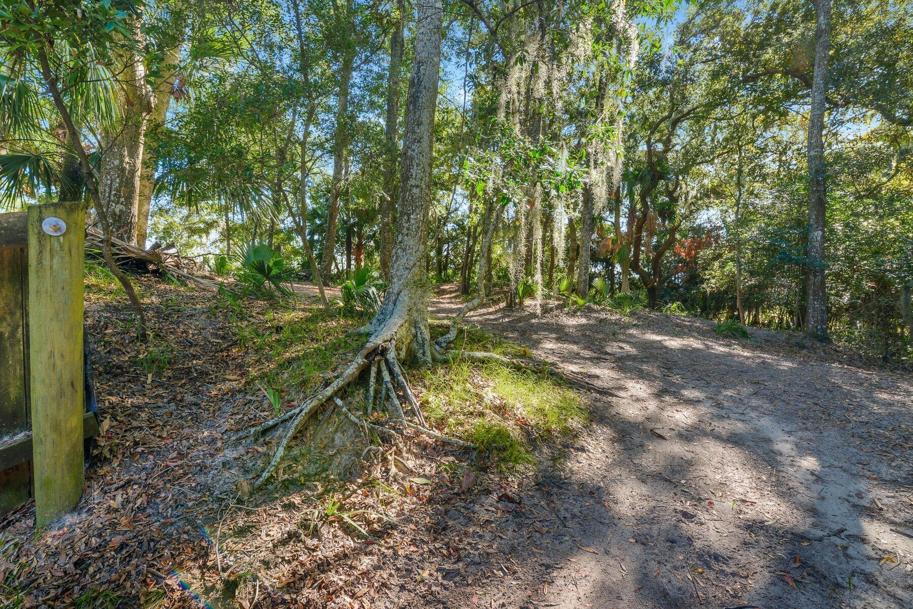 535 Oristo Ridge Edisto Island, SC 29438 - Photo 3 of 13 _ROB5750.jpg-SMALL