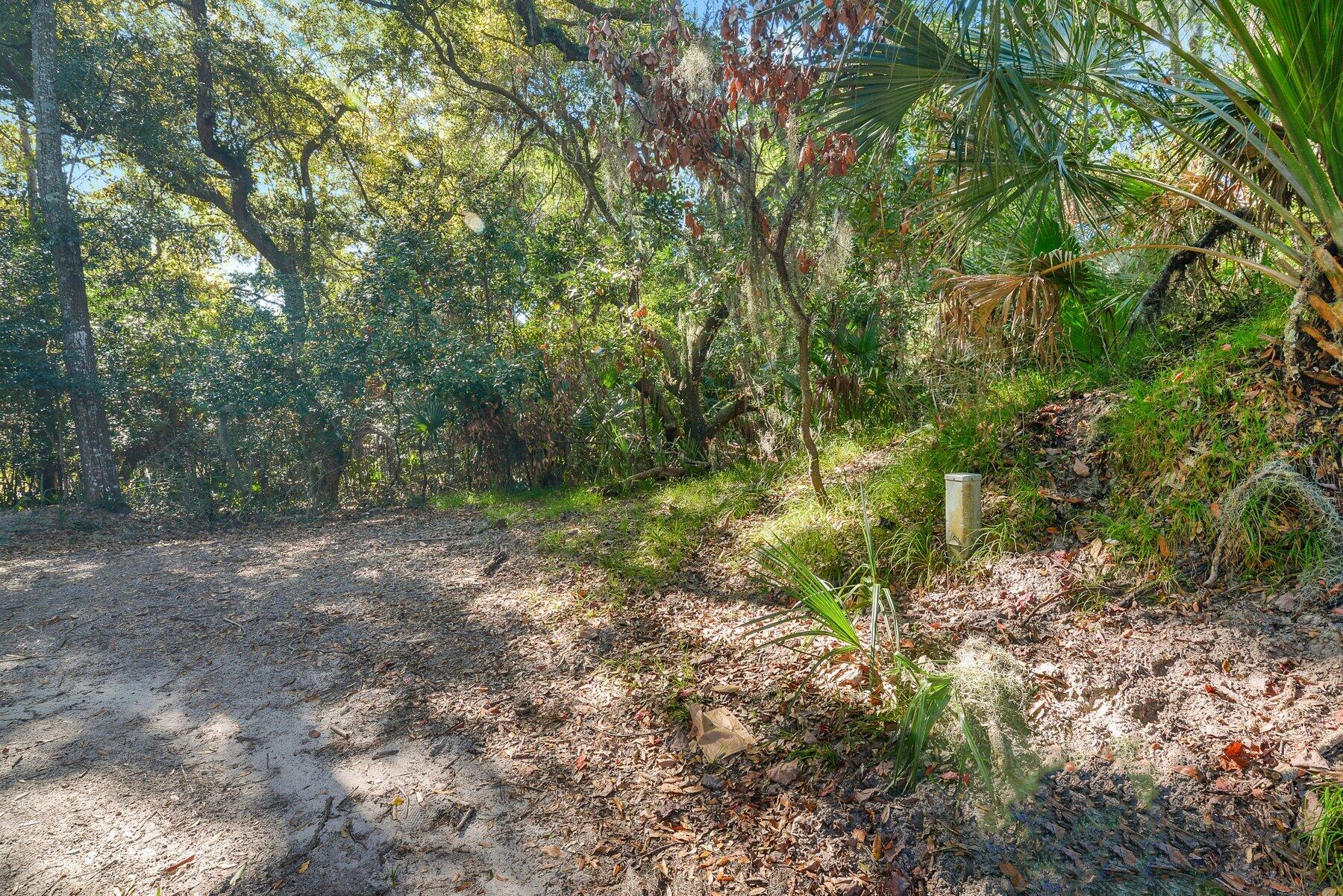 535 Oristo Ridge Edisto Island, SC 29438 - Photo 4 of 13 _ROB5711.jpg-SMALL