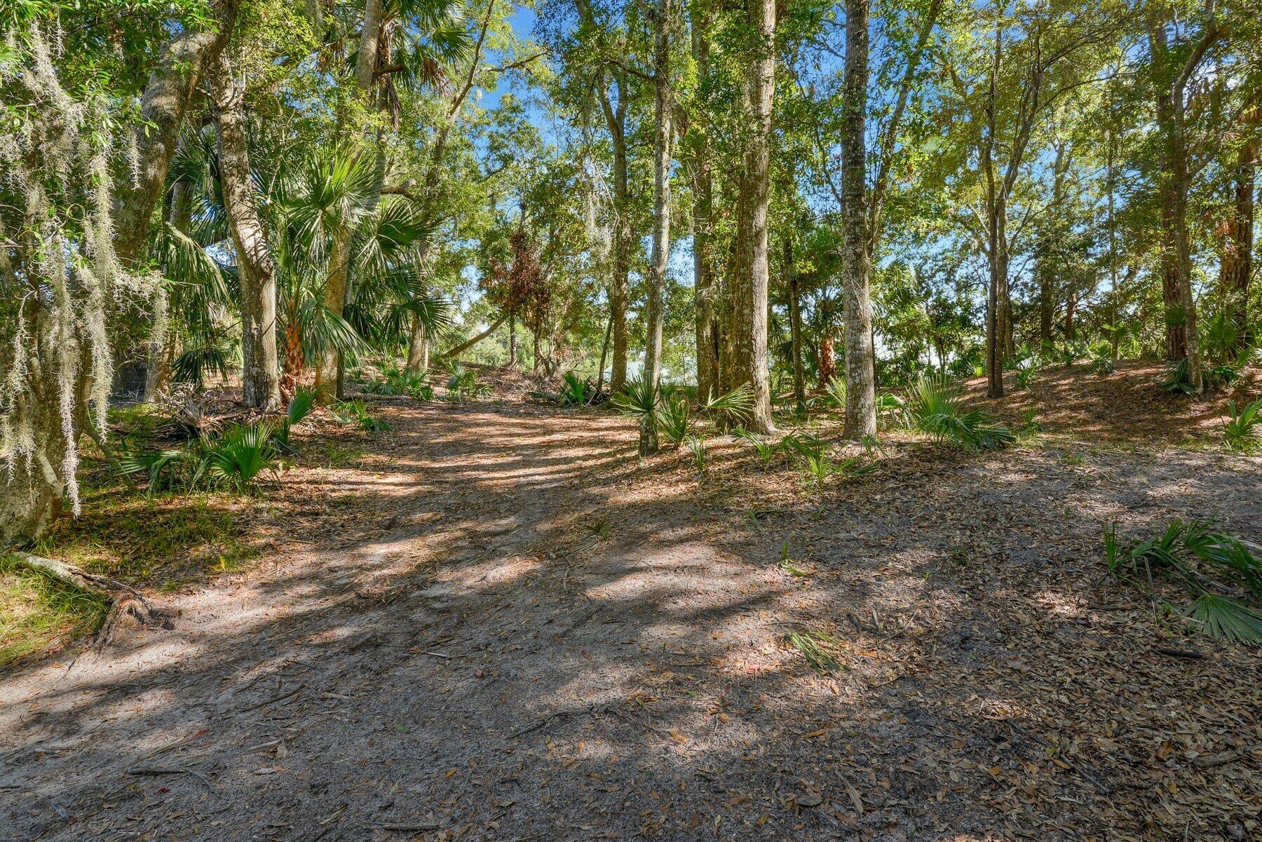 535 Oristo Ridge Edisto Island, SC 29438 - Photo 5 of 13 _ROB5716.jpg-SMALL