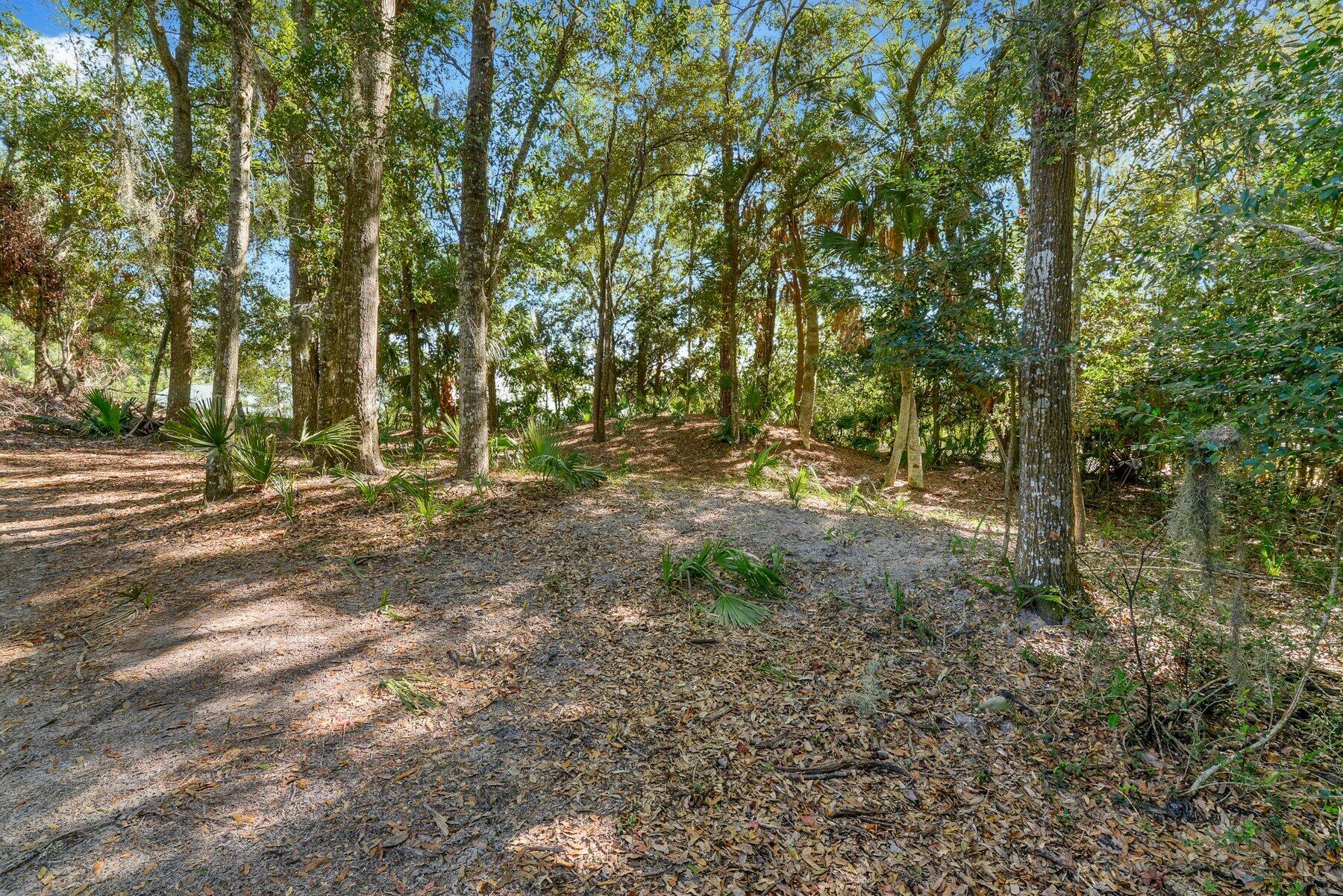 535 Oristo Ridge Edisto Island, SC 29438 - Photo 6 of 13 _ROB5736.jpg-SMALL