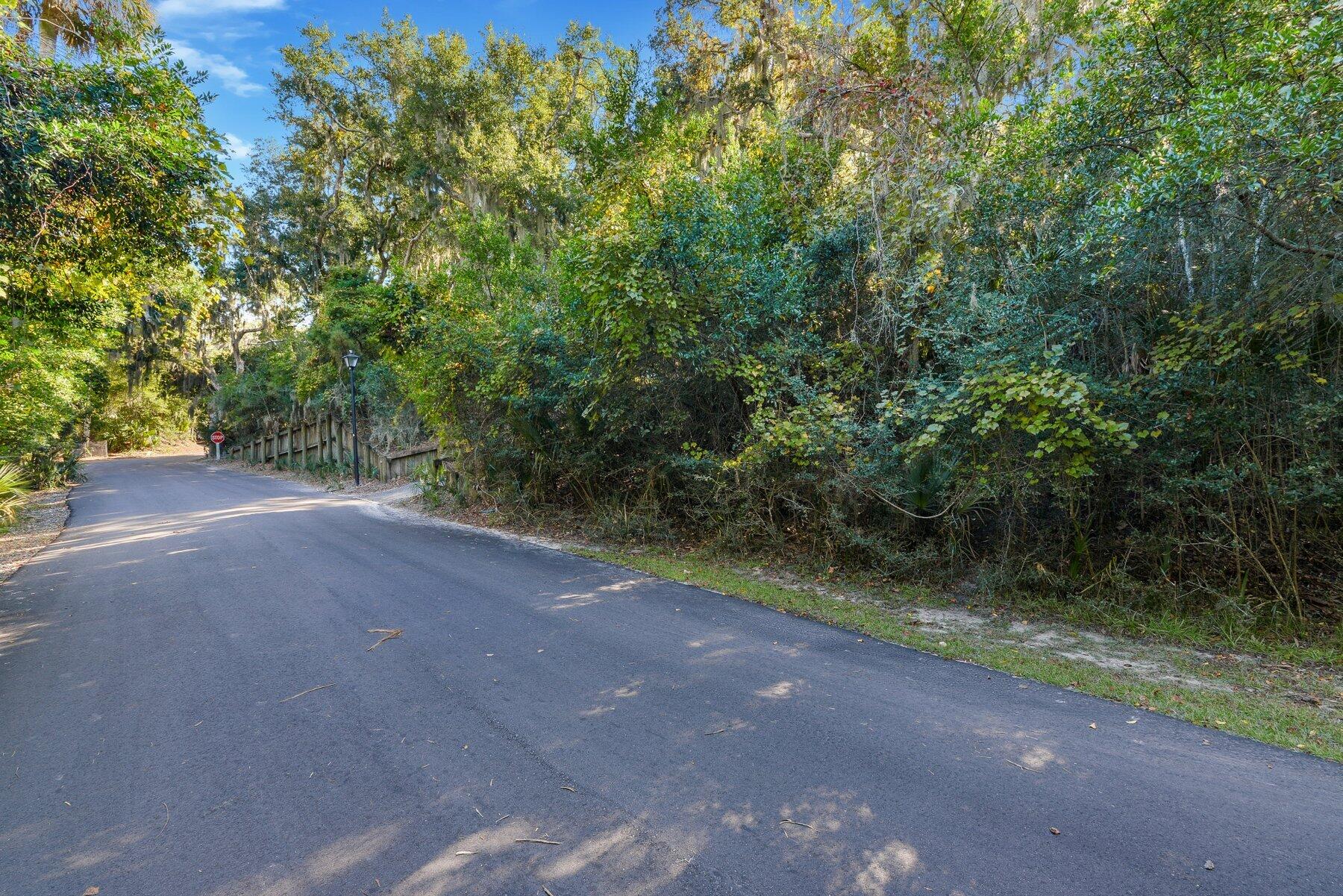 535 Oristo Ridge Edisto Island, SC 29438 - Photo 7 of 13 _ROB5721.jpg-SMALL