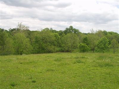 2503 Jackstown Road Paris, KY 40361 - Photo 4 of 14 Photo 4