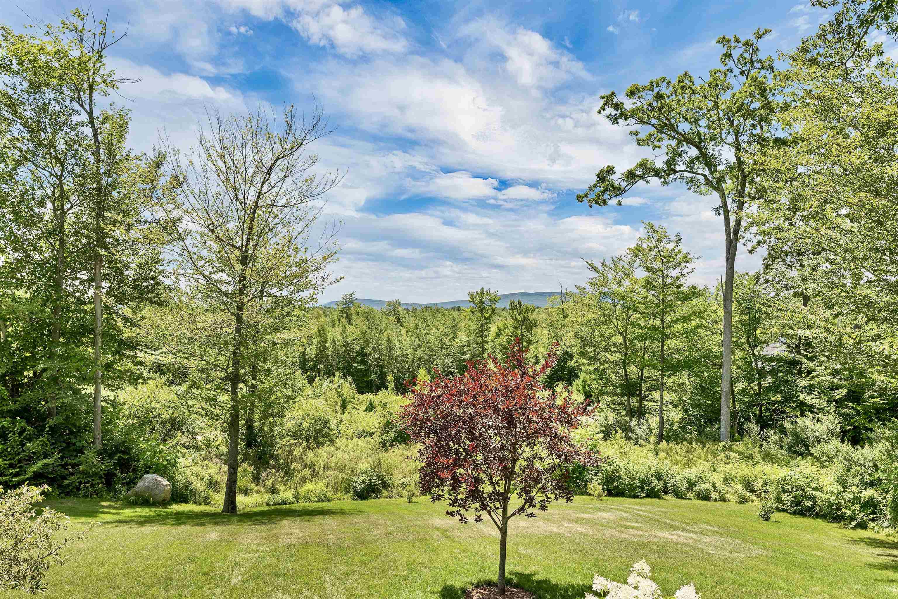 185 Ambrose Way Wolfeboro, NH 03894 - Photo 47 of 54
