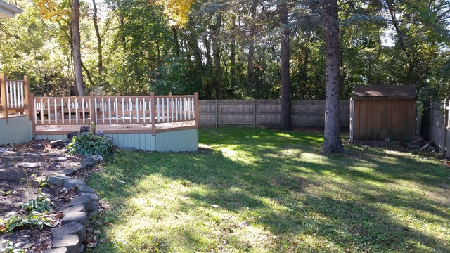 39232 North Rustic Drive Lake Villa, IL 60046 - Photo 2 of 12 a view of a backyard with a small cabin