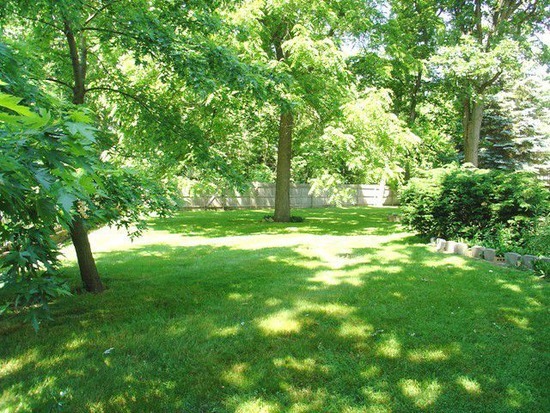 39232 North Rustic Drive Lake Villa, IL 60046 - Photo 5 of 12 a view of a yard with a tree
