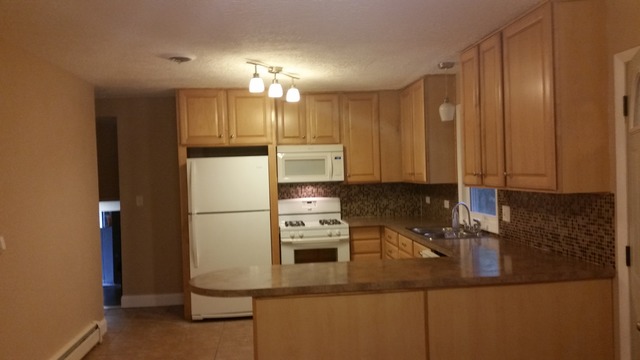 39232 North Rustic Drive Lake Villa, IL 60046 - Photo 7 of 12 a kitchen with kitchen island a counter top space appliances and cabinets