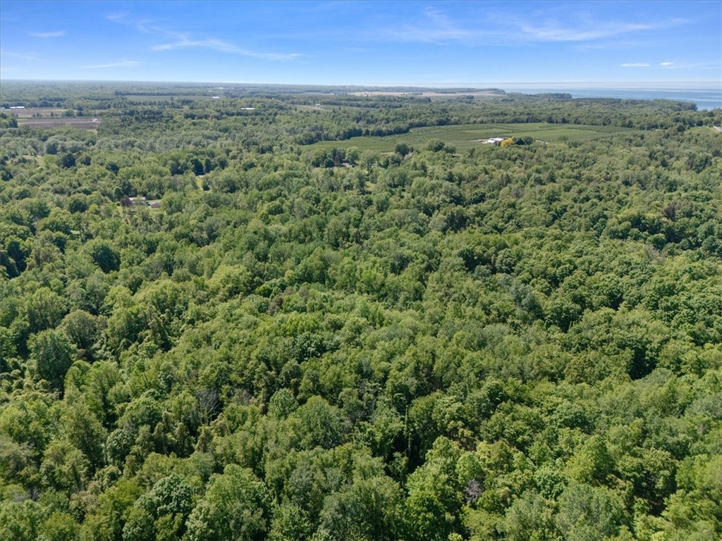 Geneva Road Sodus, NY 14551 - Photo 23 of 34
