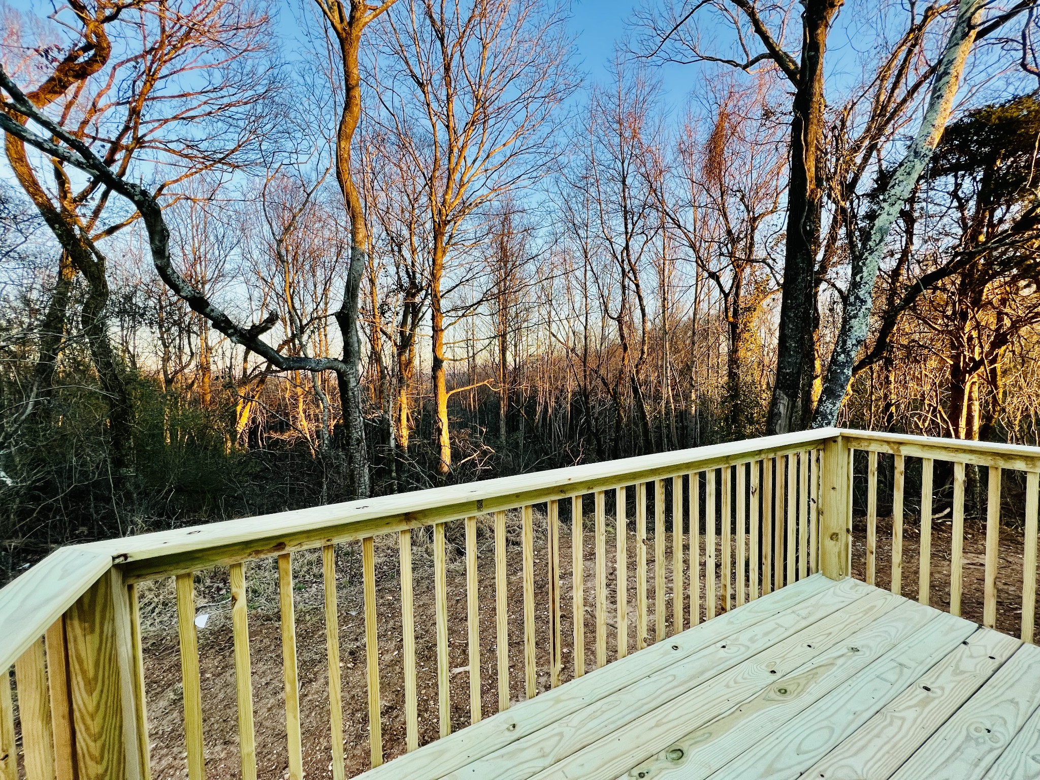 2379 Franklin Hayes Road Pulaski, TN 38478 - Photo 3 of 19 a view of wooden deck and trees with wooden fence
