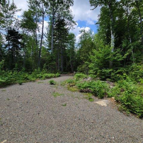 T4 Wadleigh Pond Road Millinocket, ME 04462 - Photo 20 of 38 Driveway