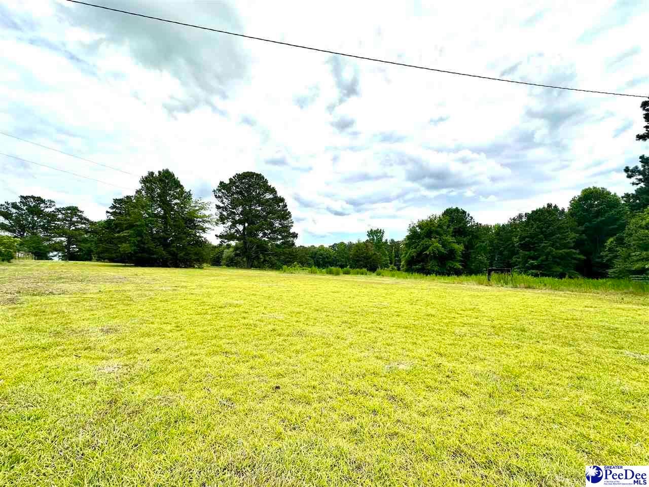 135 Jesse N Gaskins Road Chesterfield, SC 29709 - Photo 7 of 9 Gallery Image 7