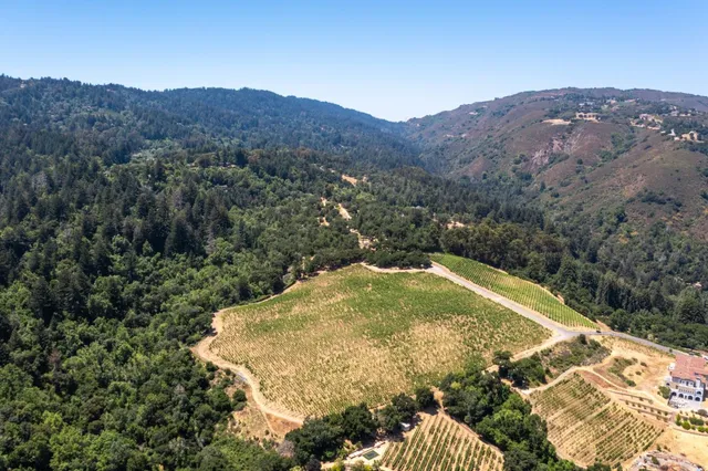 a view of outdoor space and yard