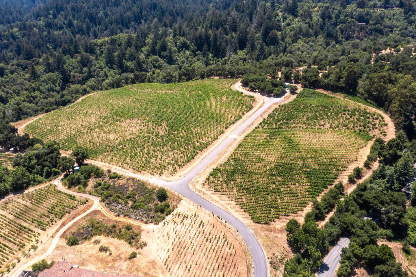 18570 Black Road Los Gatos, CA 95033 - Photo 7 of 23 a view of a yard