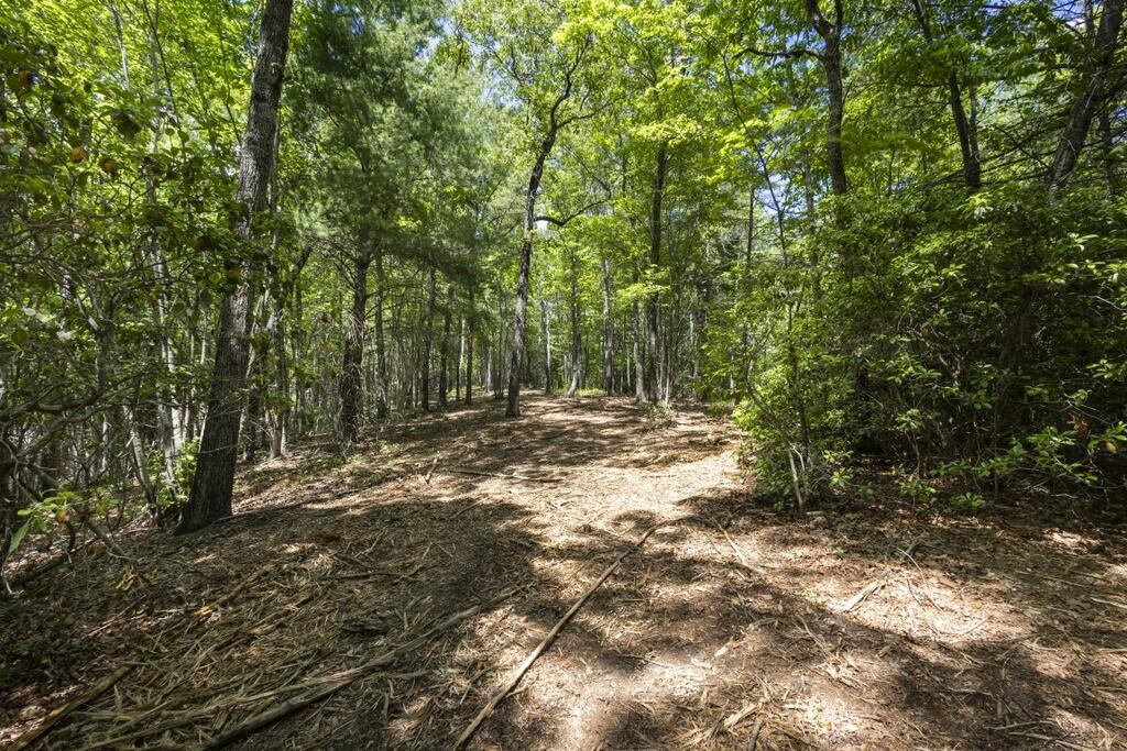 0 Donley Road Murphy, NC 28906 - Photo 2 of 37 Gallery Image 2