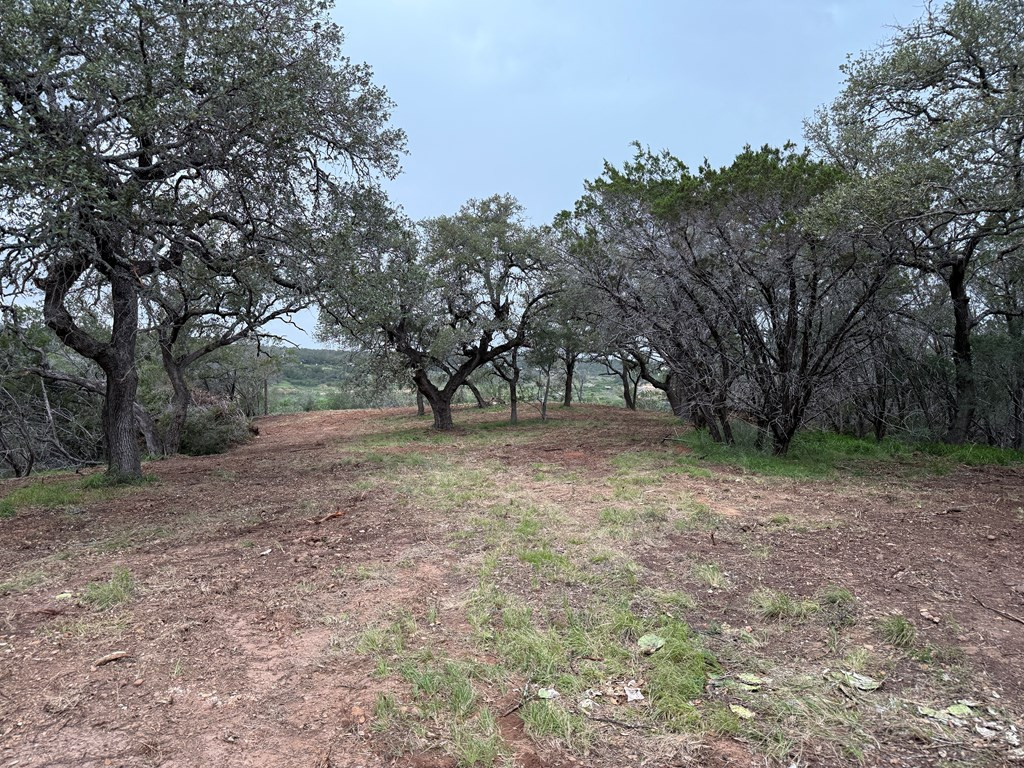920 Boulting House Road Marble Falls, TX 78654 - Photo 19 of 43 View from the front/road side of the property to t