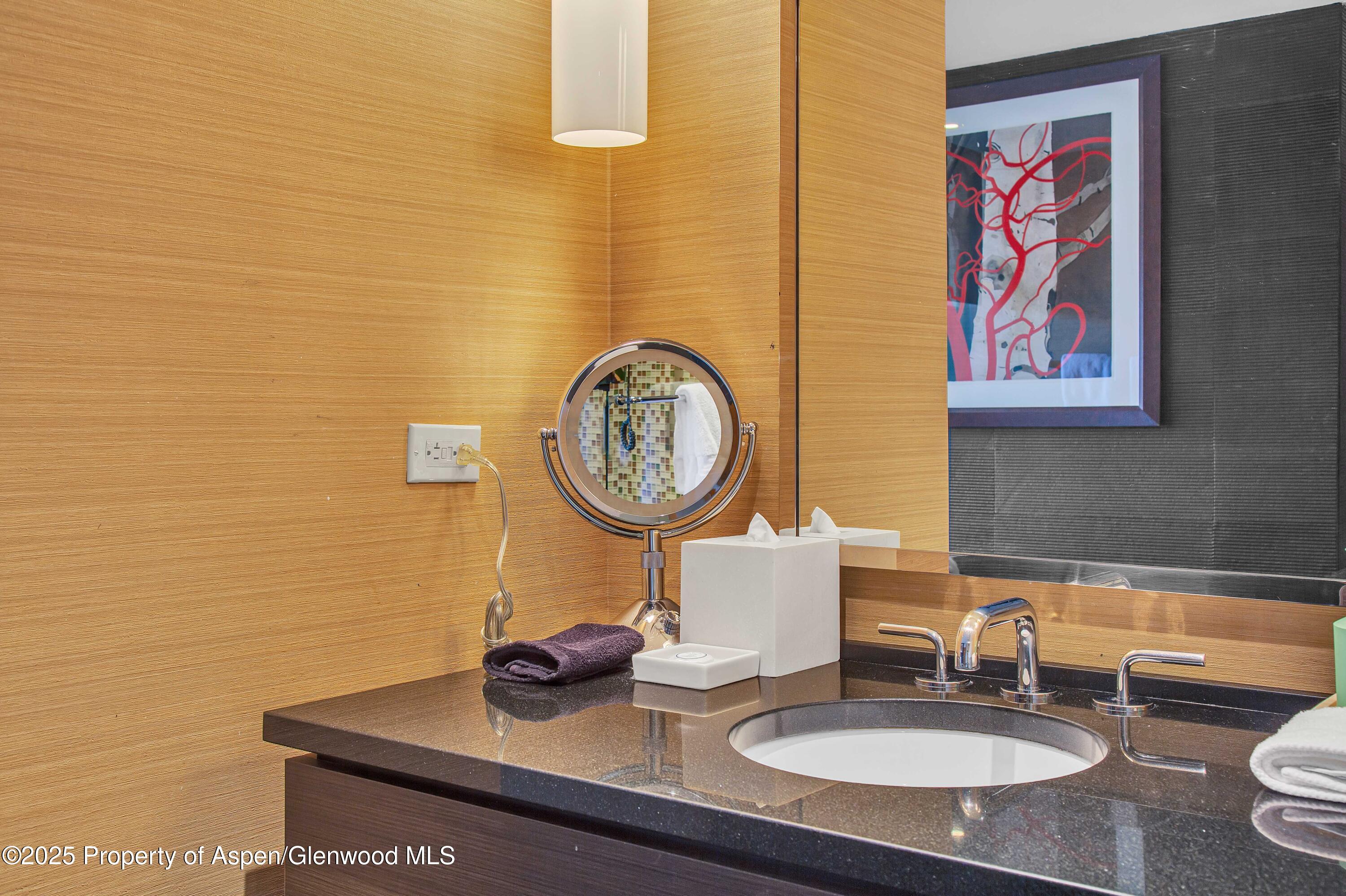 130 Wood Road, Unit 736 Snowmass Village, CO 81615 - Photo 13 of 15 F09A1422