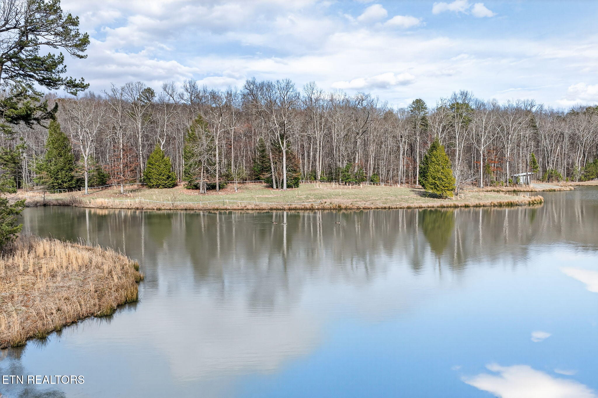 672 Falls Road Monterey, TN 38574 - Photo 49 of 60 falls 8