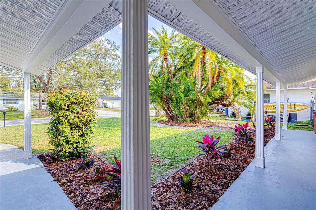 1648 Caldwell Road Daytona Beach, FL 32119 - Photo 3 of 45 a view of a garden with plants and large trees
