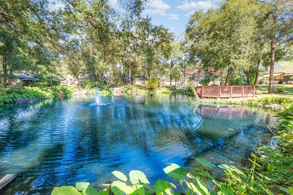 940 Douglas Avenue, Unit 175 Altamonte Springs, FL 32714 - Photo 39 of 44 a view of yard with green space