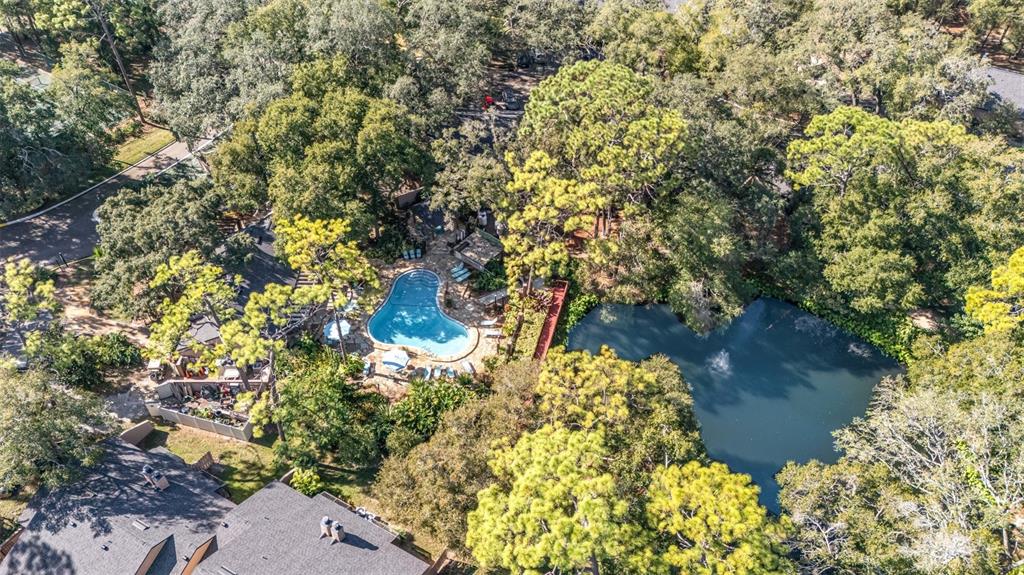 940 Douglas Avenue, Unit 175 Altamonte Springs, FL 32714 - Photo 41 of 44 a view of a tree with a yard