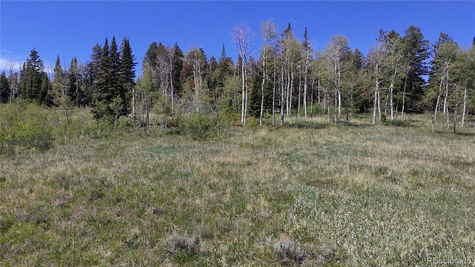 Spring Creek Ranch Road Silverthorne, CO 80498 - Photo 26 of 38