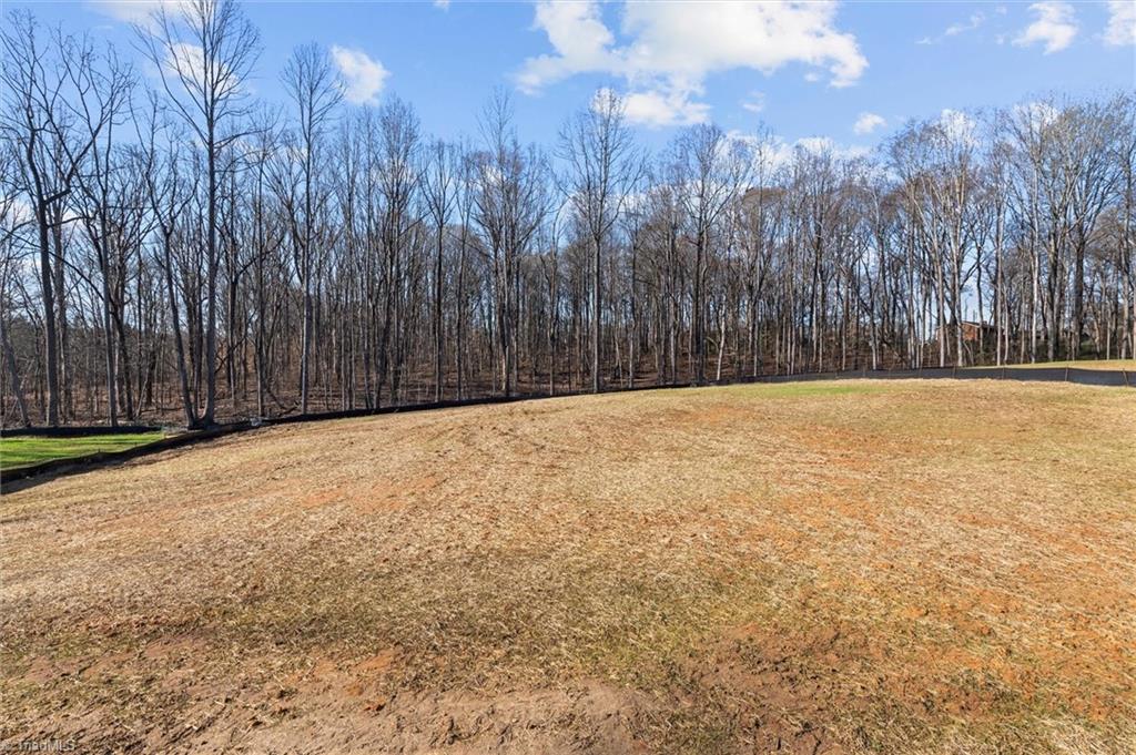 6055 Frye Bridge Road Clemmons, NC 27012 - Photo 32 of 38
