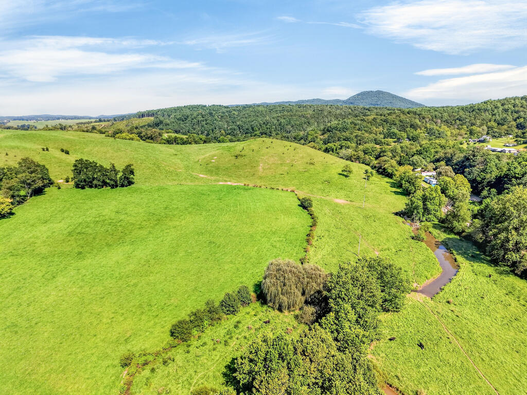 Tbd Peppers Ferry Road, Unit TRACT 4 Wytheville, VA 24382 - Photo 44 of 63 Gallery Image 44