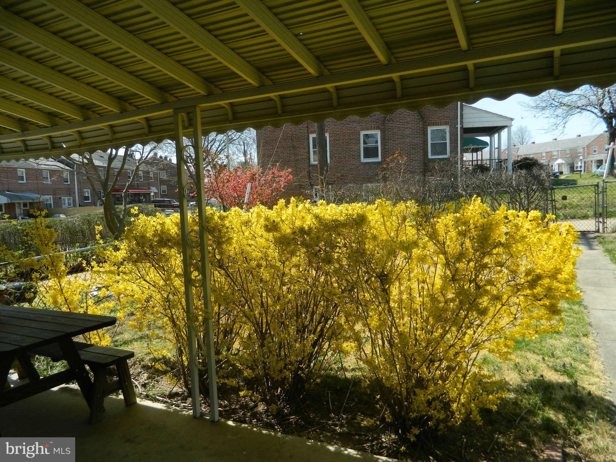 3834 Monterey Road Baltimore, MD 21218 - Photo 6 of 26 a view of a backyard with plants