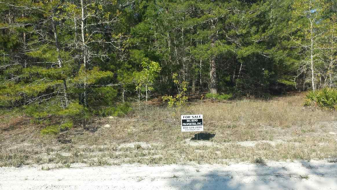Tbd Blacktail Way Perry, FL 32348 - Photo 3 of 5 Gallery Image 3