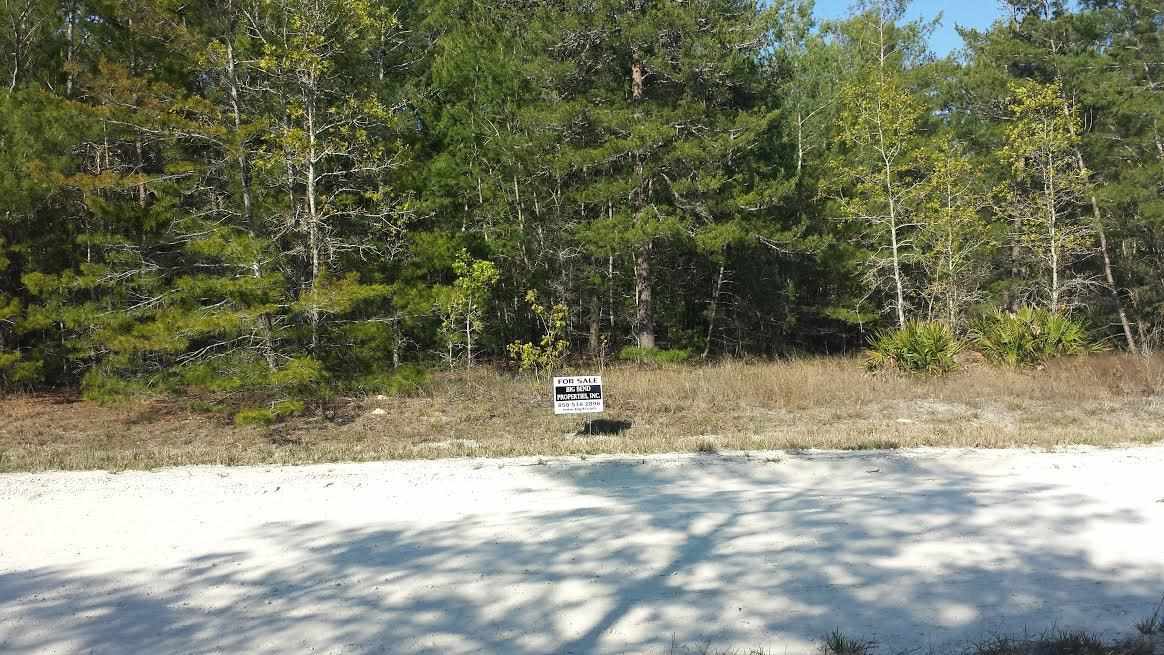 Tbd Blacktail Way Perry, FL 32348 - Photo 4 of 5 Gallery Image 4