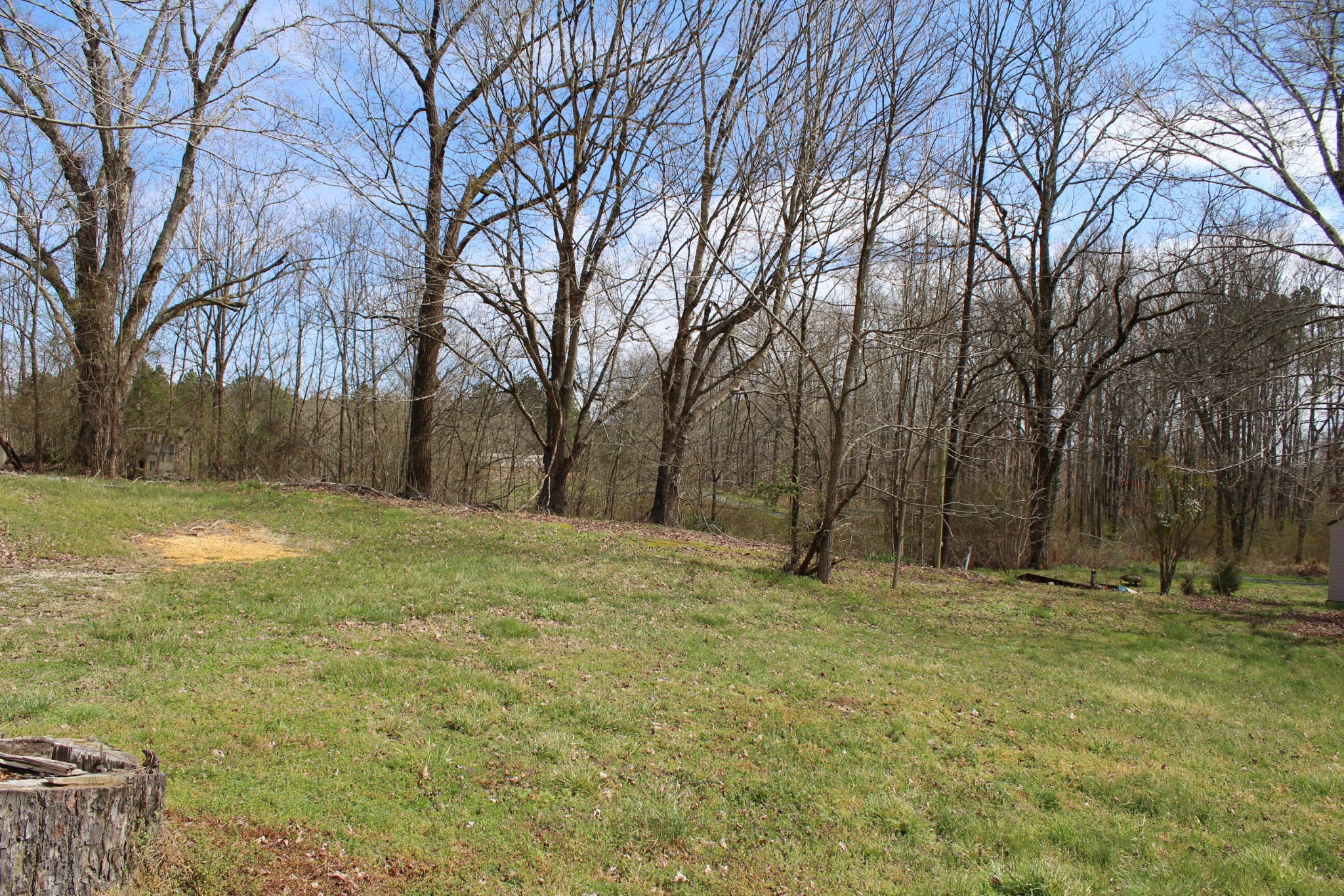 1017 Bancroft Road McDonald, TN 37353 - Photo 3 of 13 Gallery Image 3