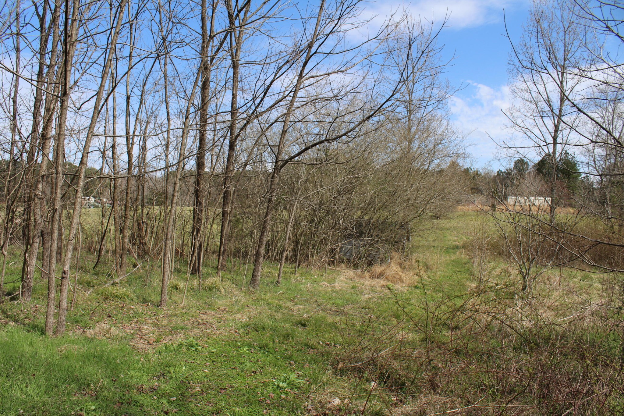 1017 Bancroft Road McDonald, TN 37353 - Photo 9 of 13 Gallery Image 9