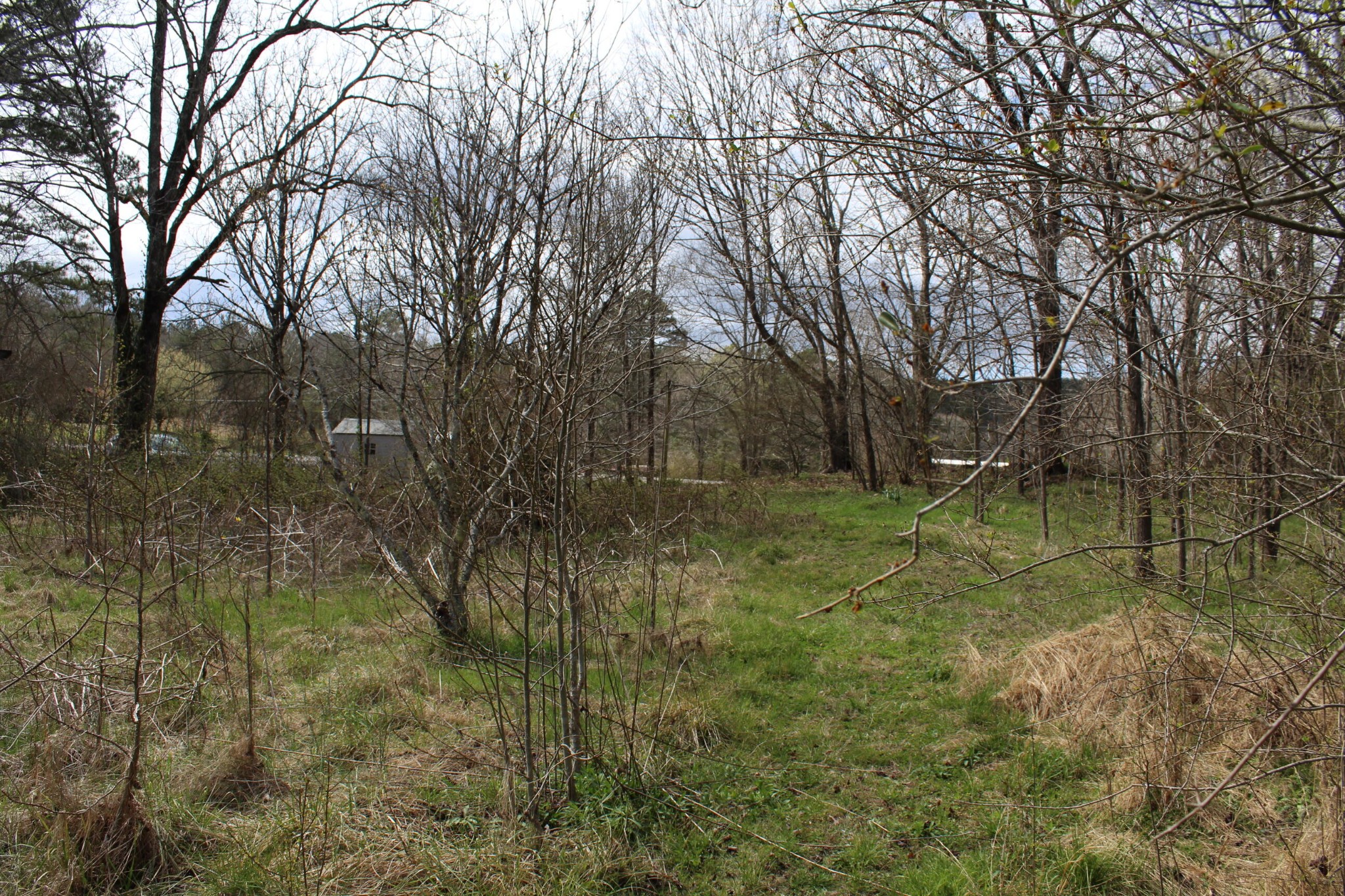 1017 Bancroft Road McDonald, TN 37353 - Photo 10 of 13 Gallery Image 10