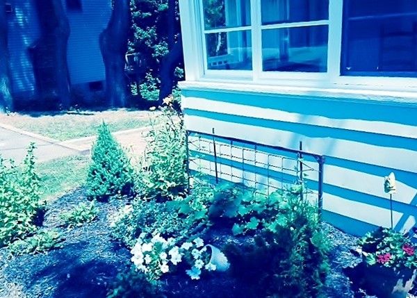 122 Spring Street Walpole, MA 02081 - Photo 22 of 23 Gallery Image 22