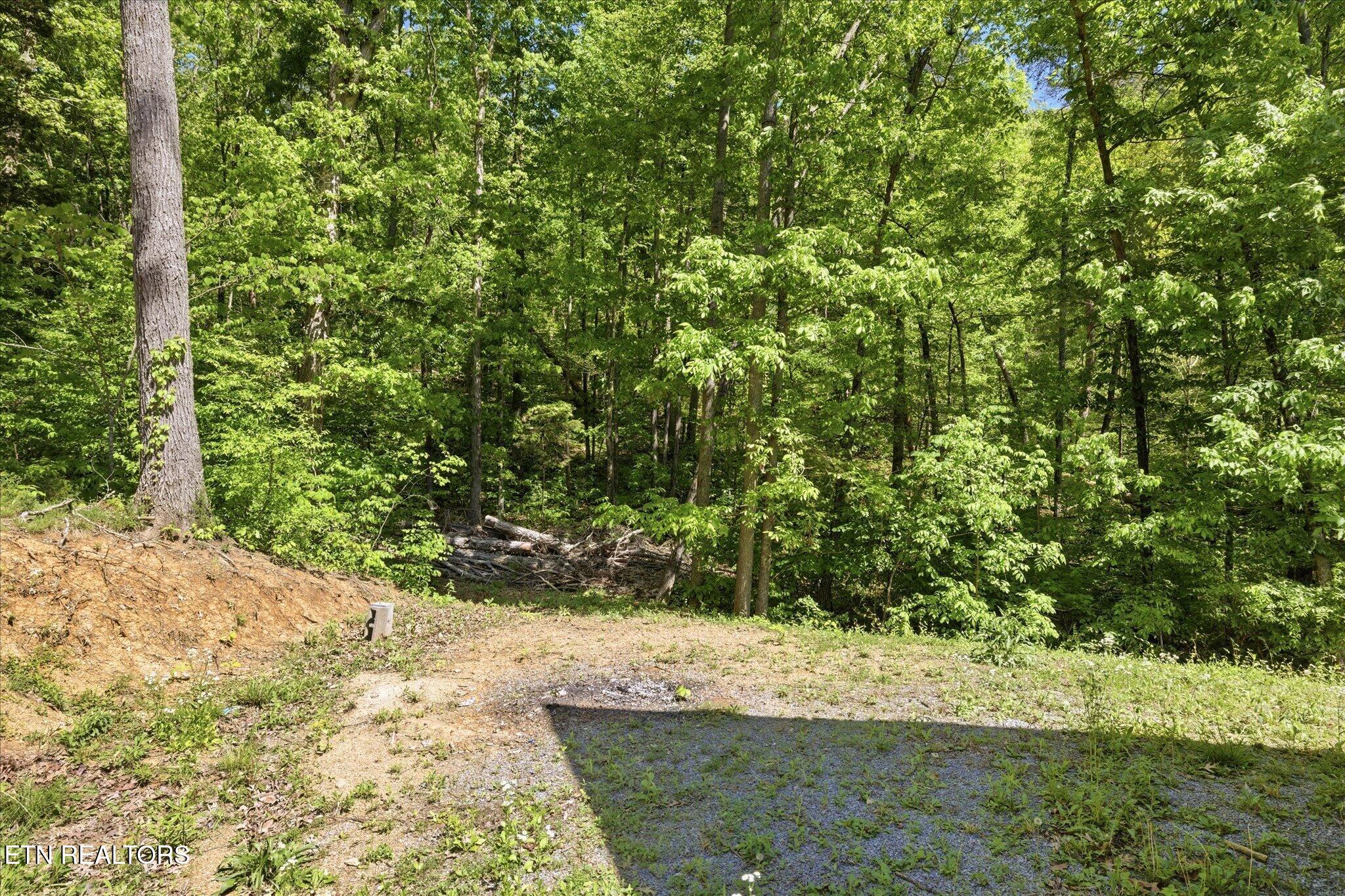 1094 Highway 25E Newport, TN 37821 - Photo 4 of 29 04-IMG_0685