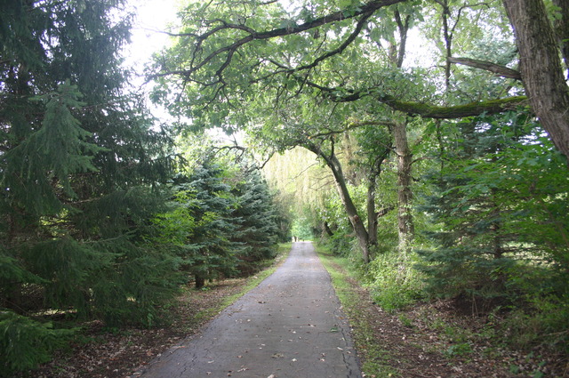 18108 Altenburg Road Harvard, IL 60033 - Photo 2 of 12 a view of a forest with trees in the background