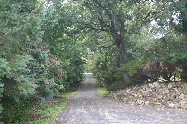 18108 Altenburg Road Harvard, IL 60033 - Photo 12 of 12 a view of a forest with trees