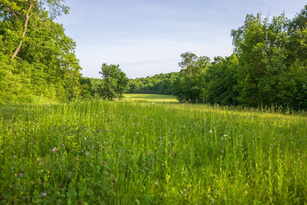 17710 Southwest 31st Road De Kalb, MO 64440 - Photo 37 of 99