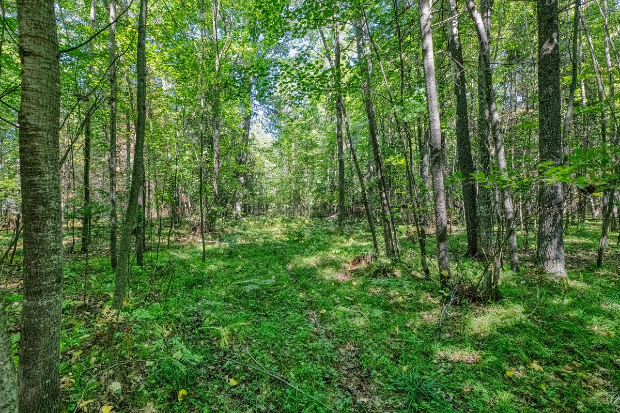 On Hall Road, Unit A & B Woodruff, WI 54568 - Photo 12 of 18 Gallery Image 12