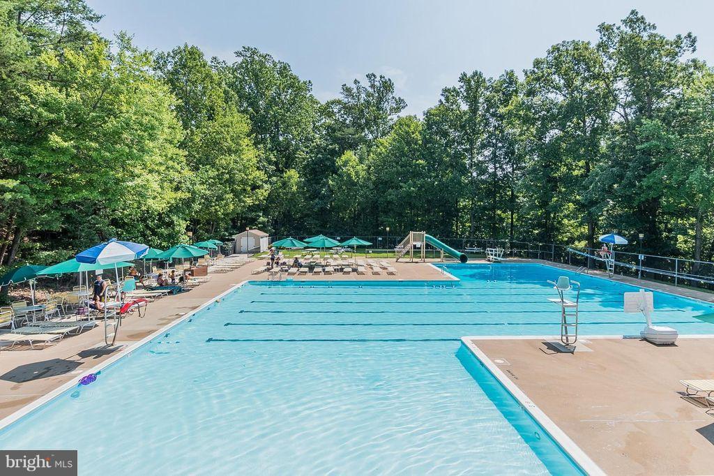 8338 Windfall Road Springfield, VA 22153 - Photo 27 of 28 Community Swimming Pool