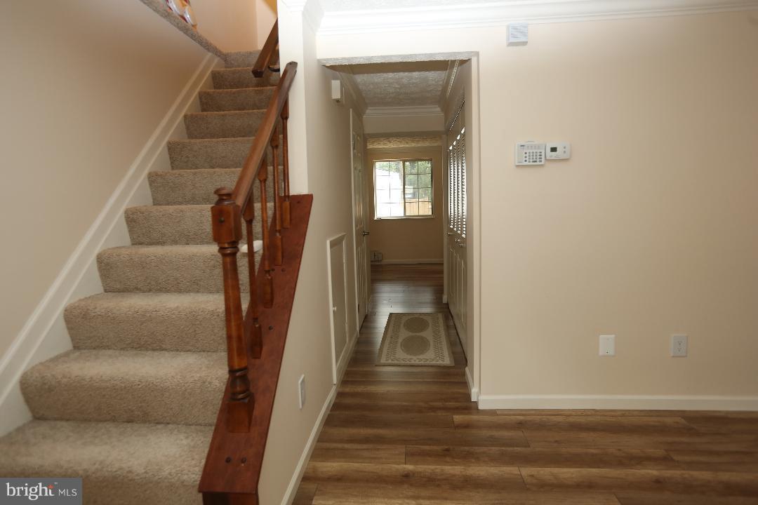 8338 Windfall Road Springfield, VA 22153 - Photo 4 of 28 Stairs to the Upper Level with New Carpet