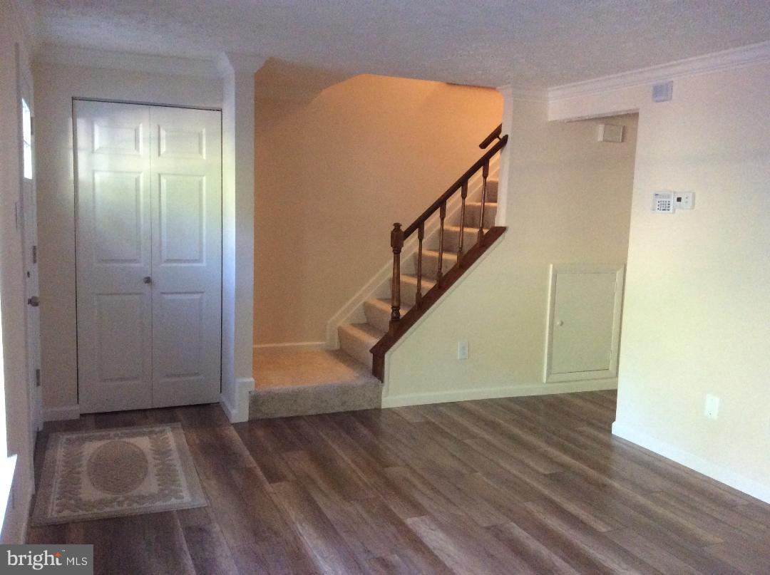 8338 Windfall Road Springfield, VA 22153 - Photo 5 of 28 Living Room with HWD Floors and Coat Cabinet