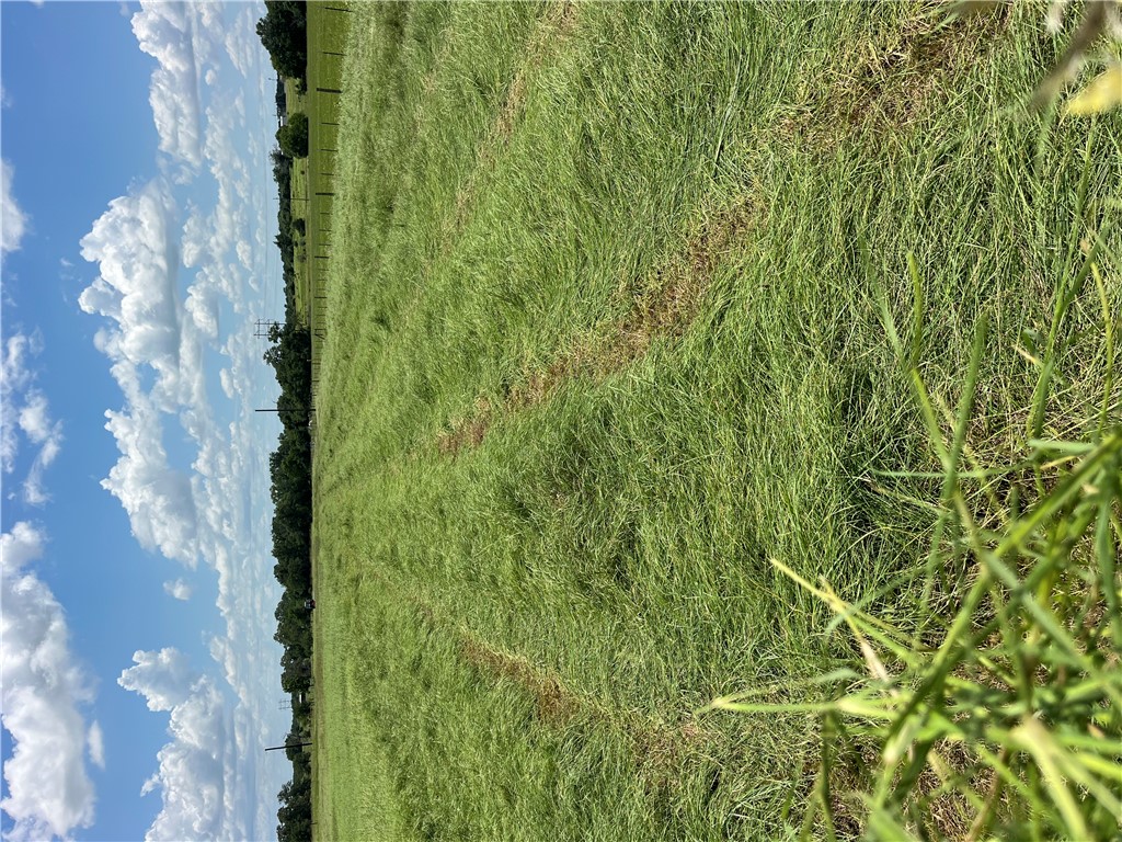 7303 Bickham Cemetery Road Bryan, TX 77808 - Photo 3 of 28 Hay Production