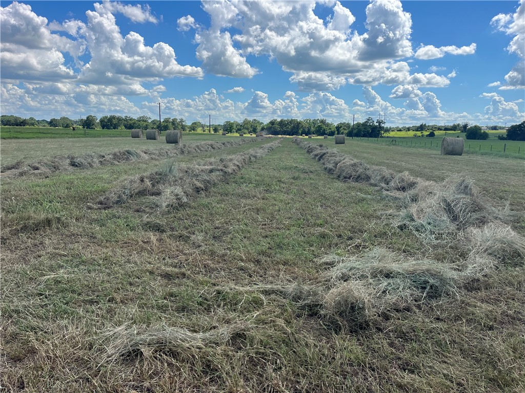 7303 Bickham Cemetery Road Bryan, TX 77808 - Photo 4 of 28 Hay Production